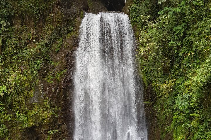 El Tigre Waterfalls Hiking Tour with Lunch and Nature Guide  - Photo 1 of 21